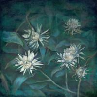 許旆誠   幽曇一現  油畫  壓克力  畫布  65x65cm   2018 