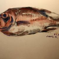 張萬傳 赤鯛 水彩 紙本 27x38 cm 1988 