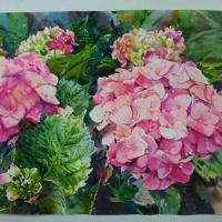 黃文祥 桃色戀情 水彩紙本  37x55 cm 2014