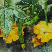 黃文祥 記憶中的黃花 水彩 紙本   37.5x28 cm 2014