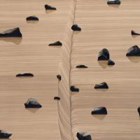 林萬士 對話 油彩 壓克力 畫布 140x200cm 2010
