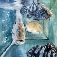 羅宇成 縛 水彩 紙本 55x35 cm 2015