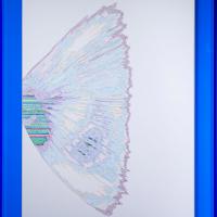 王昱翔 責任 原子筆 有色壓克力  65x50x5 cm 2020