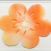 陳代如 團花003 丙烯顏料 