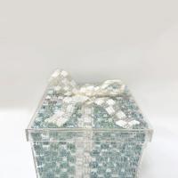 梁敏婷 藍盒子 