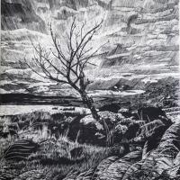 曾美禎 易經八卦-巽卦(風) 