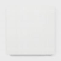 楊婧依 維度 2465 